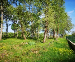 Istria, Muntrilj: Grande terreno con privacy