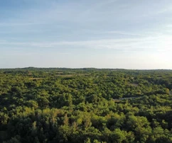 Terreno Vodnjan, 8.000 m2