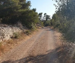 Korčula, Vela Luka, terrain constructible de 1964 m2, en première ligne sur la mer