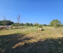 Istria, Žminj, Attractive building land for sale