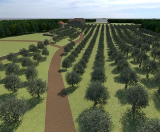 Istra, Bale, Poljoprivredno zemljište s potencijalom za razvoj na prodaju