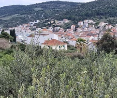 <p>Marina, terreno edificable de 974 m2, cerca del centro, electricidad, agua, carretera asfaltada</p>