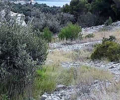 Terrain spacieux à vendre près de la mer à Primosten