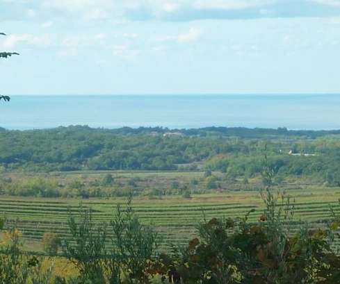 Istria, Buje: Atrakcyjna działka budowlana z widokiem