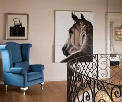 Vabriga, Istria: Elegantná vila s bazénom a záhradou