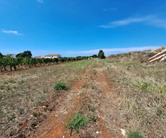 Участок Каštelir, Каštelir-Лабинци, 1 430 м2