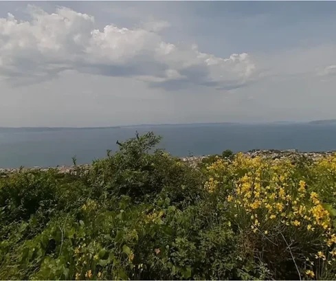 Gornja Podstrana, Gajine, agricultural land 2602 m2, sea view