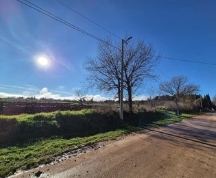 Istra, Kaštelir: Građevinsko zemljište 1180 m²