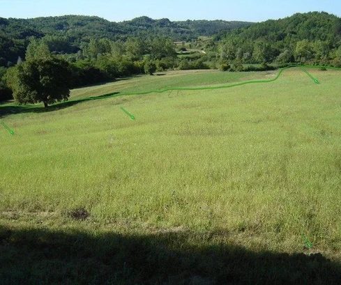<p>Terreno en ubicación única en la naturaleza, rodeado de bosque, Istria, Poreč</p>