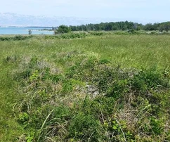 Parte non edificata della zona di costruzione (necessaria la preparazione del piano UPU)