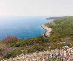 Villa in vendita a Premantura con piscina e vista in Croazia