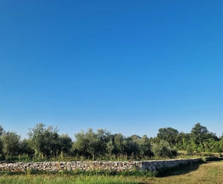 Terrain Umag, 8 056 m2