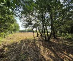 Pozemok Kaštelir, Kaštelir-Labinci, 32&nbsp;619&nbsp;m2