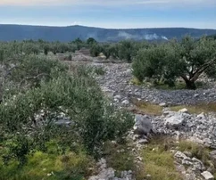 Rogoznica, Podorljak, terrain agricole de 6500 m2, à 500 m de l'autoroute