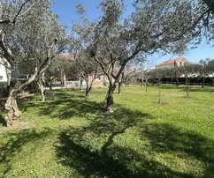 Dalmacia - Casa de inversión con 7 apartamentos y gran terreno