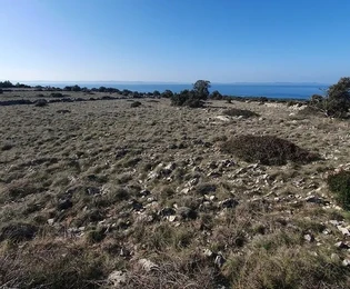 Terreno agricolo