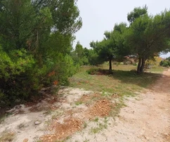 Lato sud dell'isola di Vir, terreno edificabile 616 m²
