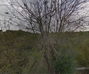 Čiovo, Okrug G., Mavaračica, terreno edificabile di 5050 m2, a 250 m dal mare