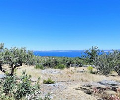 Casa in pietra di Brac e giardino di ulivi con vista sul mare