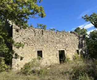 Casa, seis hectáreas de terreno Drniš