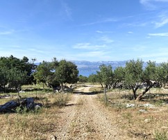 Posiadłość na wyspie Supetar z rozległym terenem rolnym na sprzedaż