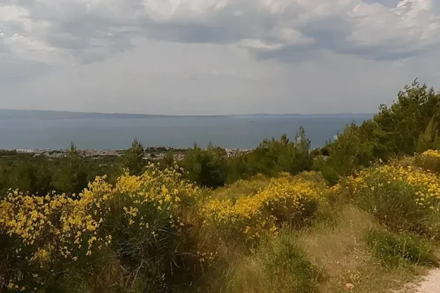 Gornja Podstrana, Duge Njive, terrain agricole 13479 m2, vue