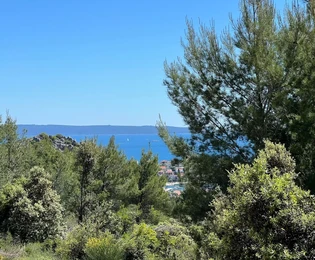 <p>Marina, Vrsine, terreno agrícola de 7679 m2, a 750 m del mar</p>