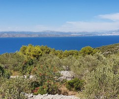 Terrain à bâtir sur l'île de Solta avec une vue imprenable sur la mer