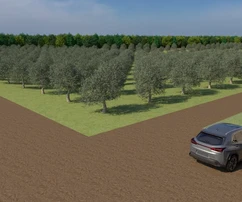 Istria, Bale, terreno agrícola con potencial de desarrollo en venta