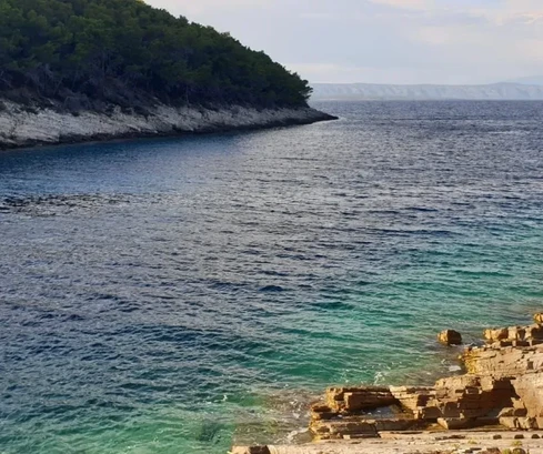 Korčula, Vela Luka, terreno edificabile 1964 m2, prima fila sul mare