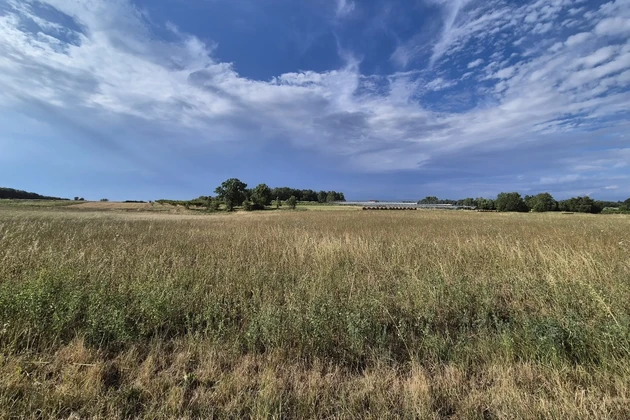 Istrie, Kastelir: Zemědělská půda s lesem 24 118 m²