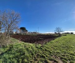 Istra, Kaštelir: Građevinsko zemljište 1180 m²