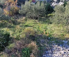 Čiovo, Okrug Gornji, building plot 600 m2