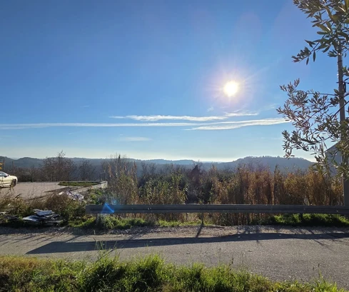 Pozemek Buje, 1 473 m2