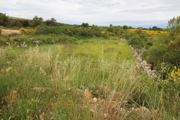 Landwirtschaftliche Fläche 760 m²