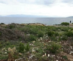 Šolta, Nečujam, építési telek 500 m2, 80 m-re a tengertől és a strandtól