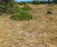Terreno agrícola 3409 m², 12 € / m² Skalinice