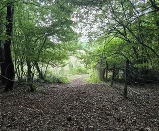 Terreno Kaštelir, Kaštelir-Labinci, 32 619 m2