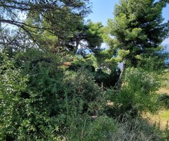Superbe terrain en bord de mer à vendre sur la Riviera d'Omis