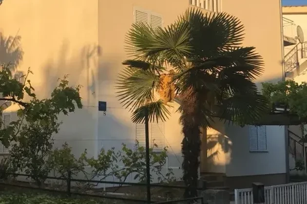 Vodice - Maison avec 6 appartements dans un emplacement de premier choix, à 150 m de la plage