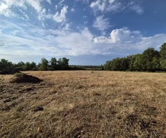 Pozemek Kaštelir, Kaštelir-Labinci, 32&nbsp;619&nbsp;m2