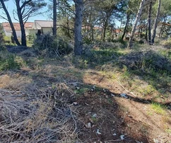 Beépítetlen rész az építési övezetből 971 m²