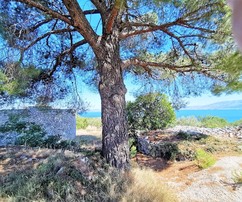 Brac Olive Grove Estate oferuje 19 983 m² spokojnej działki, idealnej na wypoczynek i kontakt z naturą
