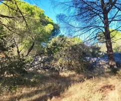 Čiovo, Okrug G., Rastići, terrain constructible 1950 m2