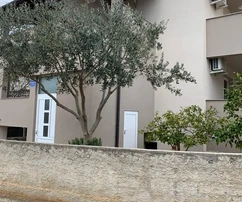 Proprietà con 5 unità abitative a 800 metri dalla spiaggia di Jadro