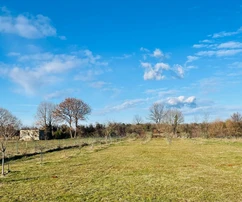 Istria, Loborika: House with large garden and olive grove
