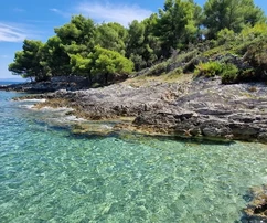 Drvenik Veli, agricultural land 1300 m2, FIRST ROW TO THE SEA!!