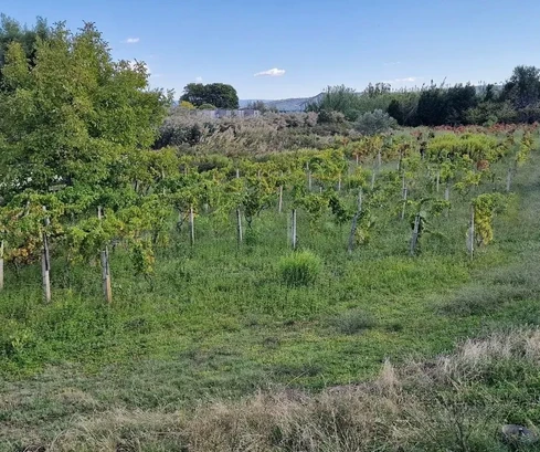 Kaštel Štafilić, stavebný pozemok 3606 m2, priamo pri ceste, 100 m od mora