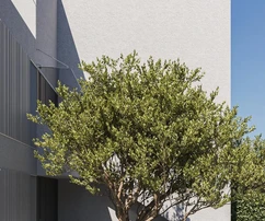 Appartement de luxe avec piscine à vendre à Murter en Croatie