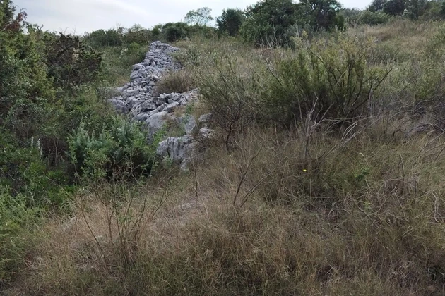 Trogir Surroundings, Drvenik Mali, agricultural land, 200m from the sea